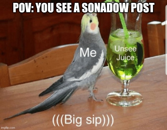 Unless you're that one weird person who supports it. | POV: YOU SEE A SONADOW POST | image tagged in unsee juice,sonic,sonic the hedgehog,can't unsee | made w/ Imgflip meme maker