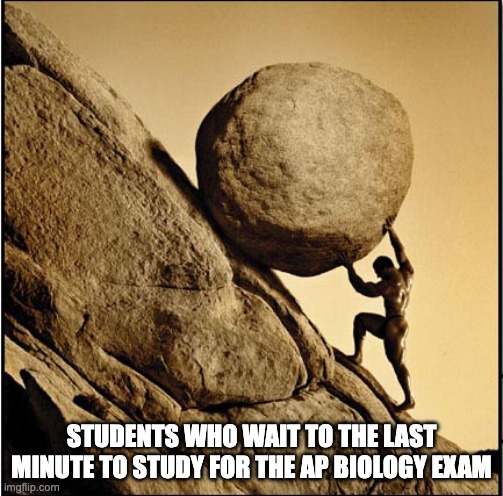 AP Exams 2024 | STUDENTS WHO WAIT TO THE LAST MINUTE TO STUDY FOR THE AP BIOLOGY EXAM | image tagged in sisyphus | made w/ Imgflip meme maker