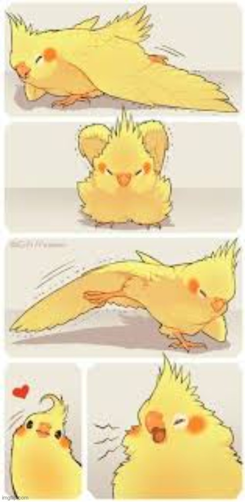 birb | made w/ Imgflip meme maker