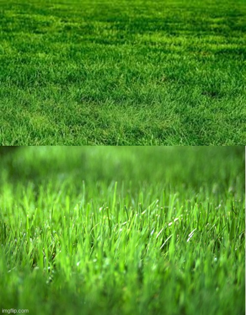 grass (part 2) | image tagged in touching grass,grass is greener | made w/ Imgflip meme maker