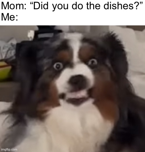 The wrath of mom | Mom: “Did you do the dishes?”
Me: | image tagged in teeth dog,memes,meme,dogs,dishes,mom | made w/ Imgflip meme maker