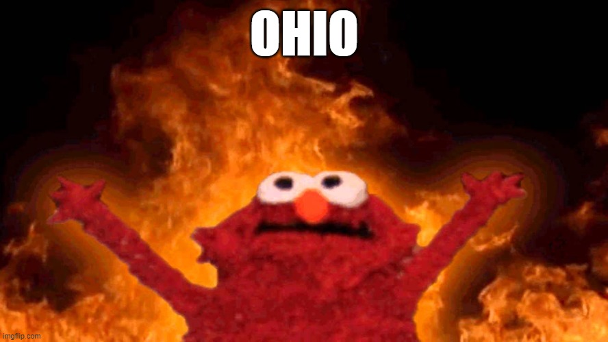 elmo fire | OHIO | image tagged in elmo fire | made w/ Imgflip meme maker