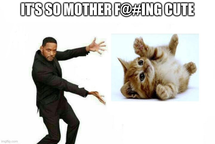 cute | IT'S SO MOTHER F@#ING CUTE | image tagged in nothing is perfect | made w/ Imgflip meme maker