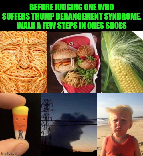 A Friendly Reminder | BEFORE JUDGING ONE WHO SUFFERS TRUMP DERANGEMENT SYNDROME, WALK A FEW STEPS IN ONES SHOES | image tagged in trump derangement syndrome | made w/ Imgflip meme maker