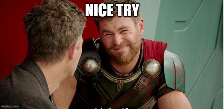 Thor is he though | NICE TRY | image tagged in thor is he though | made w/ Imgflip meme maker