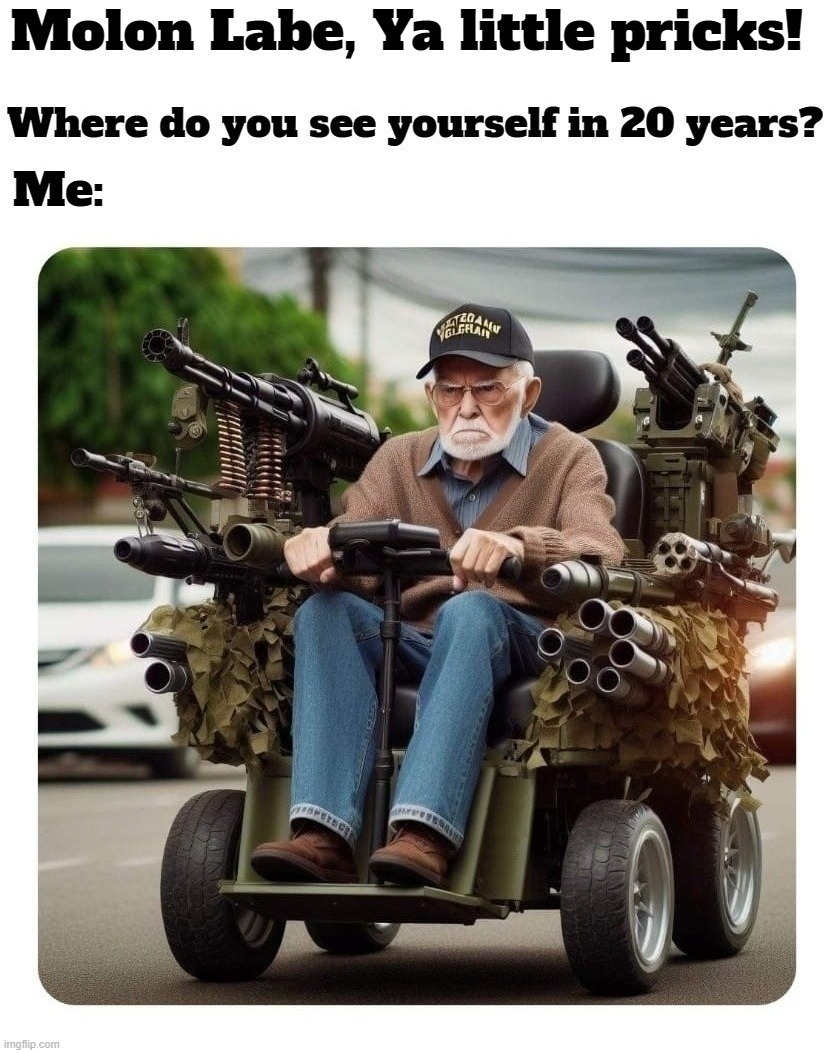 Molon Labe, Ya little pricks! | image tagged in molon labe,20 years,meme wars,meme war veteran,up your ass,assault weapons | made w/ Imgflip meme maker