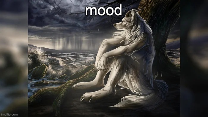 Sigma Wolf | mood | image tagged in sigma wolf | made w/ Imgflip meme maker