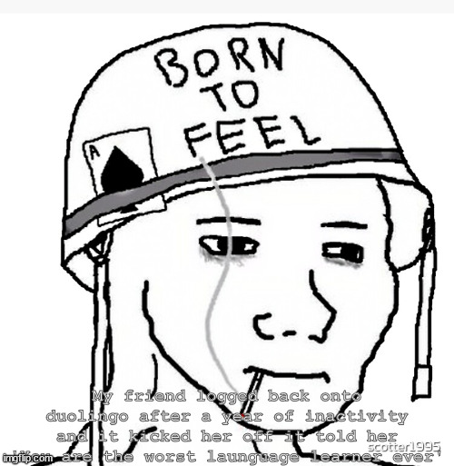 War wojak | My friend logged back onto duolingo after a year of inactivity and it kicked her off it told her 'You are the worst launguage learner ever' | image tagged in war wojak | made w/ Imgflip meme maker