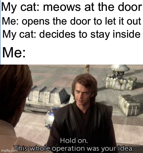 They really do want attention | My cat: meows at the door; Me: opens the door to let it out; My cat: decides to stay inside; Me: | image tagged in hold on this whole operation was your idea,memes,cats | made w/ Imgflip meme maker