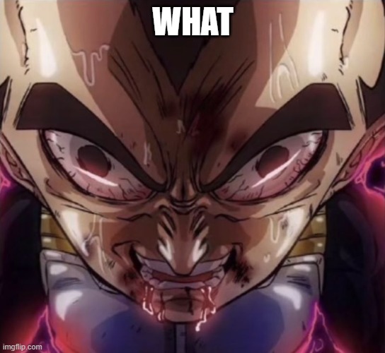 vegeta stare | WHAT | image tagged in vegeta stare | made w/ Imgflip meme maker