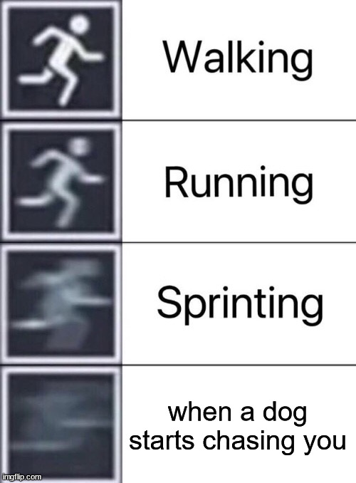 Me when a dog starts chasing me | when a dog starts chasing you | image tagged in walking running sprinting | made w/ Imgflip meme maker