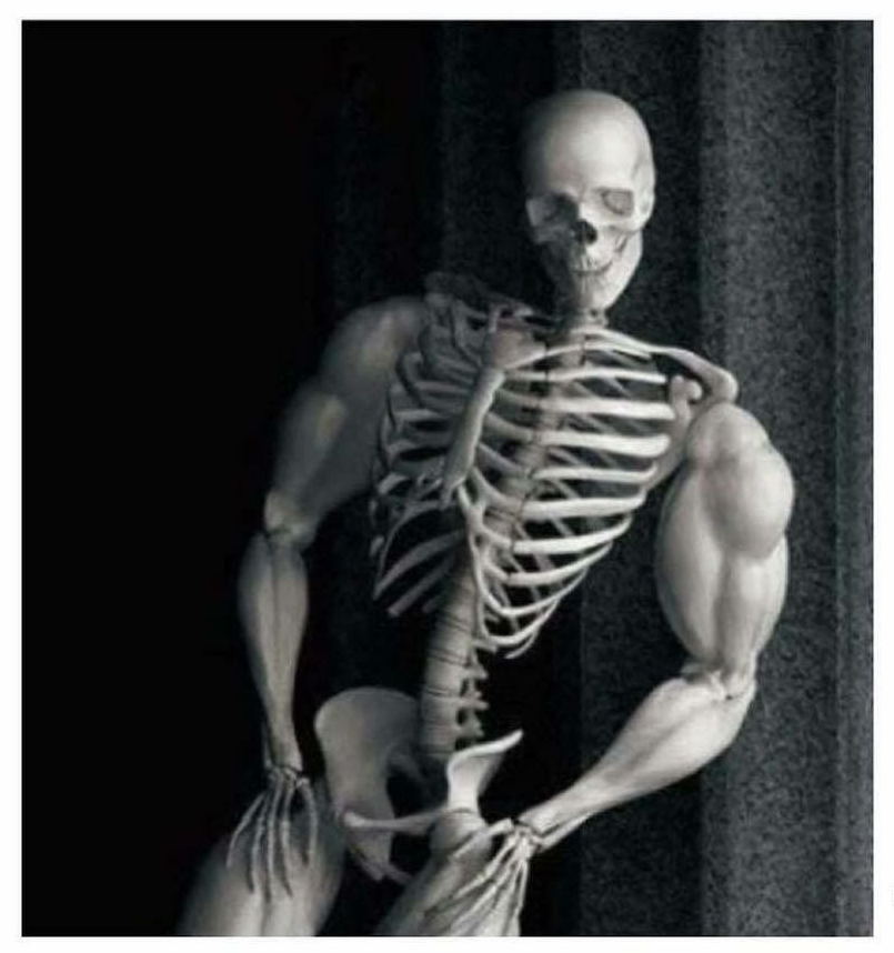 High Quality thicc strong skeleton Blank Meme Template