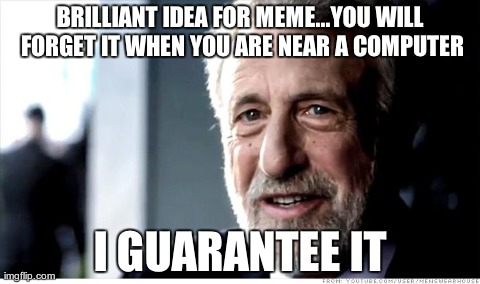 I Guarantee It Meme | BRILLIANT IDEA FOR MEME...YOU WILL FORGET IT WHEN YOU ARE NEAR A COMPUTER I GUARANTEE IT | image tagged in memes,i guarantee it | made w/ Imgflip meme maker