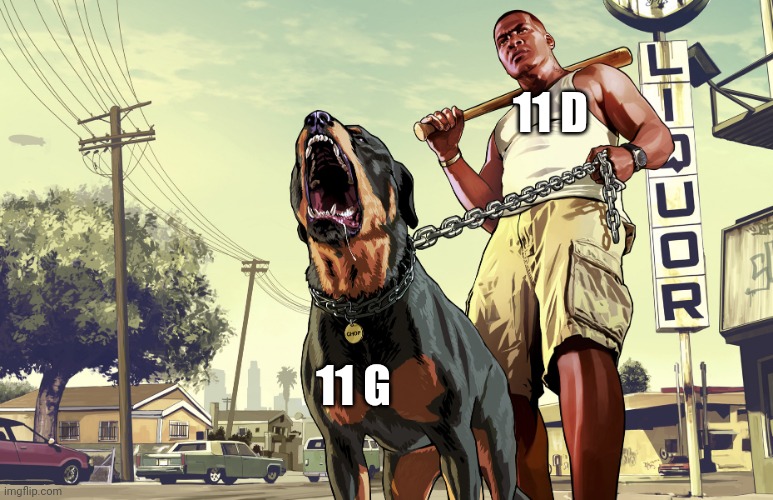 GTA 5 Franklin and his dog Chop | 11 D; 11 G | image tagged in gta 5 franklin and his dog chop | made w/ Imgflip meme maker
