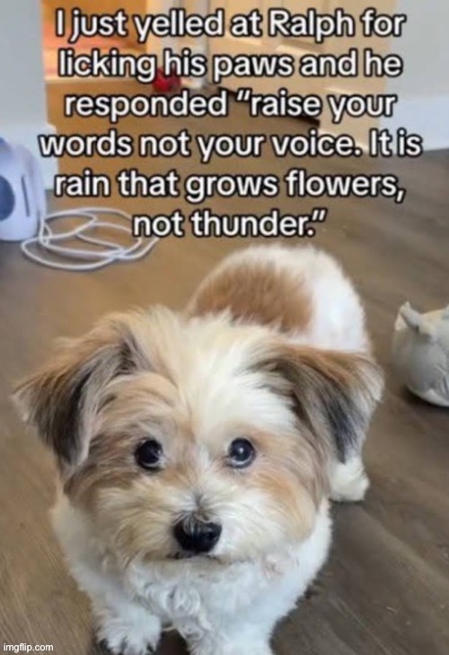 . | made w/ Imgflip meme maker