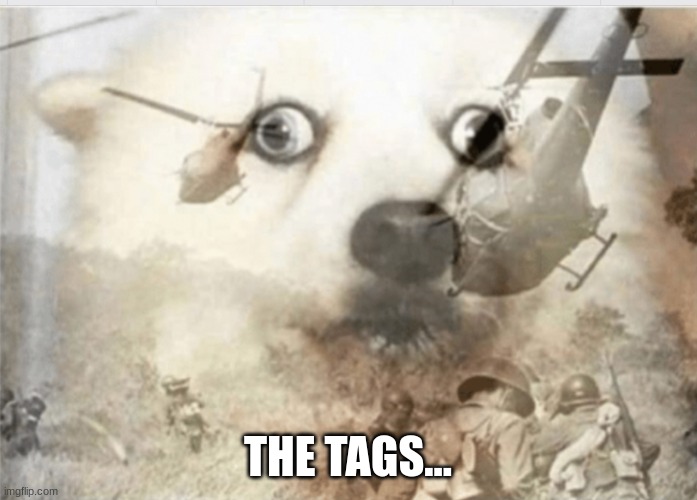 PTSD dog | THE TAGS... | image tagged in ptsd dog | made w/ Imgflip meme maker