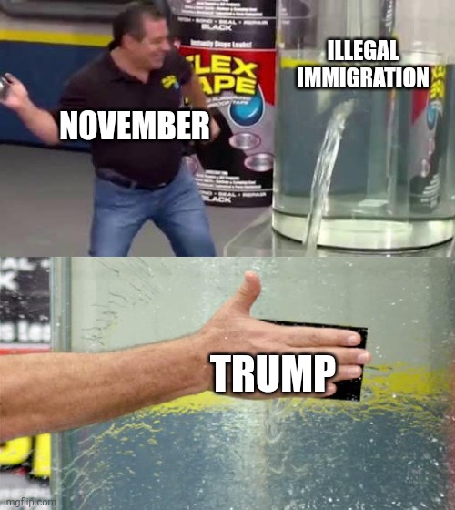 Flex Tape | ILLEGAL IMMIGRATION; NOVEMBER; TRUMP | image tagged in flex tape | made w/ Imgflip meme maker