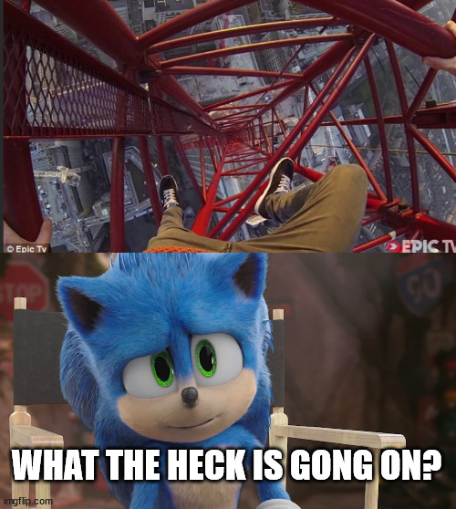 Extreme sports and daredevils. | WHAT THE HECK IS GONG ON? | image tagged in sonic lattice climbing,sonic the hedgehog,lattice climbing,meme,memes,humor | made w/ Imgflip meme maker