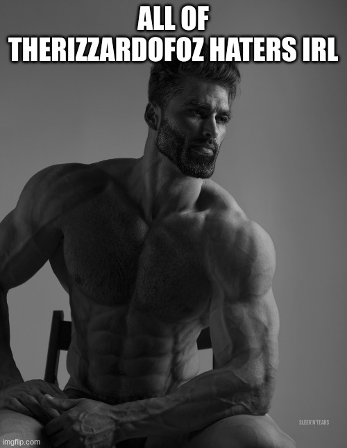 Giga Chad | ALL OF THERIZZARDOFOZ HATERS IRL | image tagged in giga chad | made w/ Imgflip meme maker