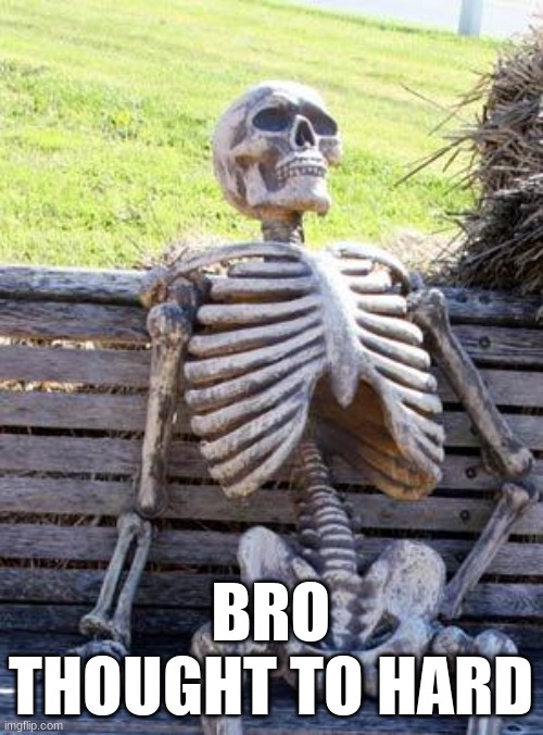 thinking be like | BRO THOUGHT TO HARD | image tagged in memes,waiting skeleton | made w/ Imgflip meme maker