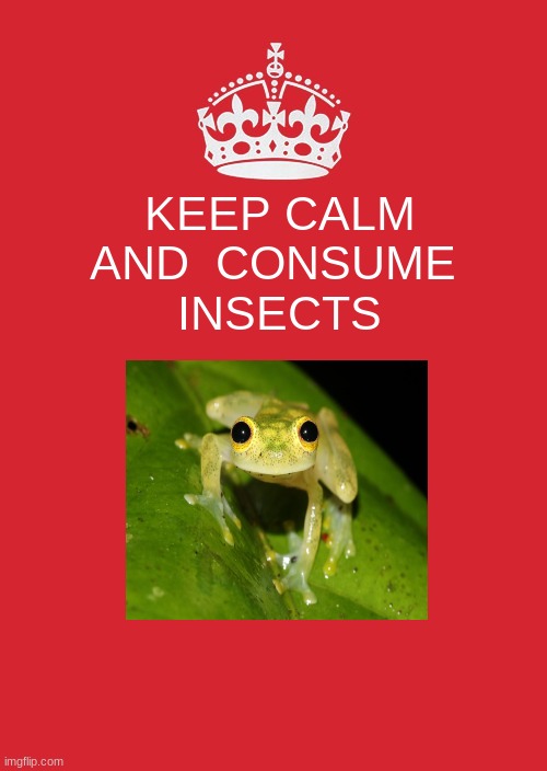 insect | KEEP CALM
AND  CONSUME 
INSECTS | image tagged in keep calm and carry on red,frog | made w/ Imgflip meme maker