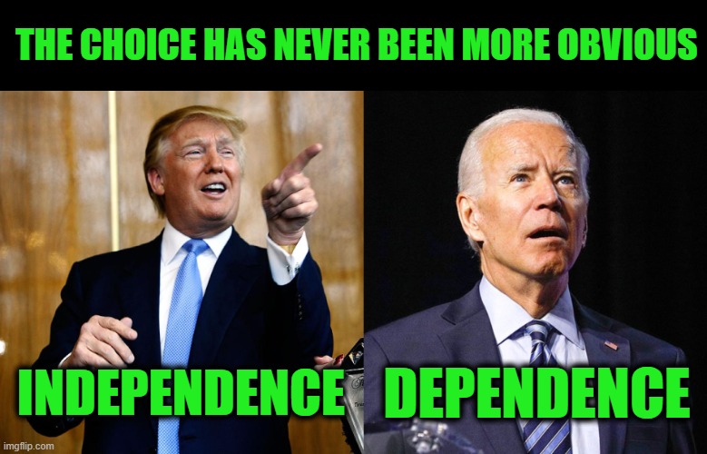 Freedom is a Dangerous Thing | THE CHOICE HAS NEVER BEEN MORE OBVIOUS; INDEPENDENCE; DEPENDENCE | image tagged in donal trump birthday,joe biden | made w/ Imgflip meme maker