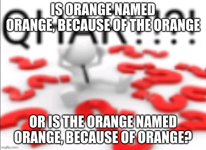 orang whar | IS ORANGE NAMED ORANGE, BECAUSE OF THE ORANGE; OR IS THE ORANGE NAMED ORANGE, BECAUSE OF ORANGE? | image tagged in qhar,fun,msmg,hmm yes the floor here is made out of floor | made w/ Imgflip meme maker