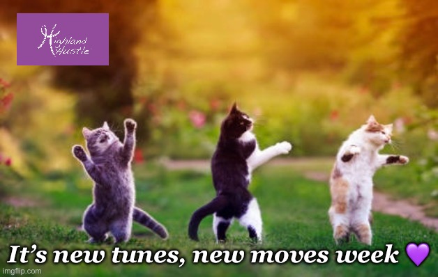 New moves week | It’s new tunes, new moves week 💜 | image tagged in hustle,cat,dance | made w/ Imgflip meme maker