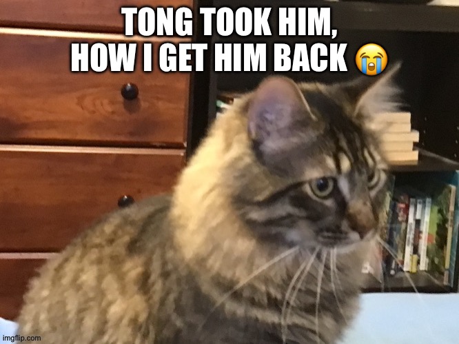 TONG TOOK HIM, HOW I GET HIM BACK 😭 | made w/ Imgflip meme maker