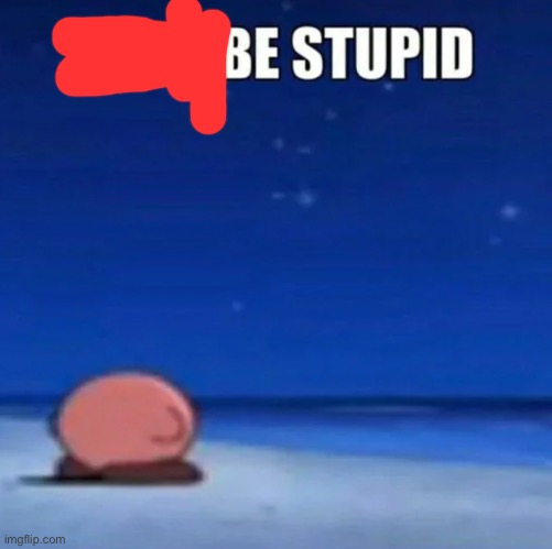 i may be stupid | image tagged in i may be stupid | made w/ Imgflip meme maker