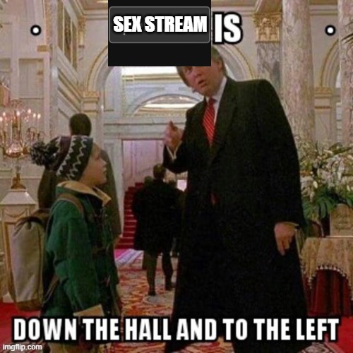 Politics is down the hall and to the left | SEX STREAM | image tagged in politics is down the hall and to the left | made w/ Imgflip meme maker