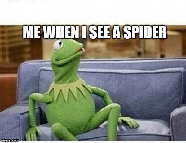 KERMIT | ME WHEN I SEE A SPIDER | image tagged in kermit | made w/ Imgflip meme maker