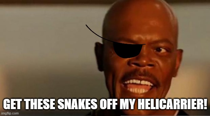 snakes | GET THESE SNAKES OFF MY HELICARRIER! | image tagged in snakes on the plane samuel l jackson | made w/ Imgflip meme maker