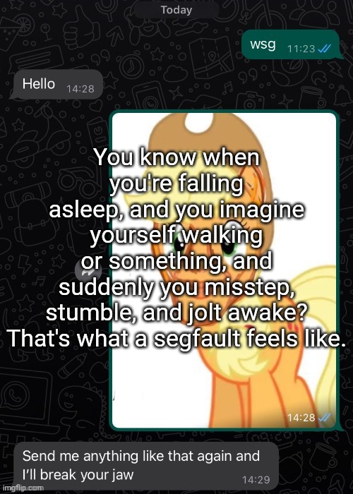 ccclxxi | You know when you're falling asleep, and you imagine yourself walking or something, and suddenly you misstep, stumble, and jolt awake?

That's what a segfault feels like. | made w/ Imgflip meme maker