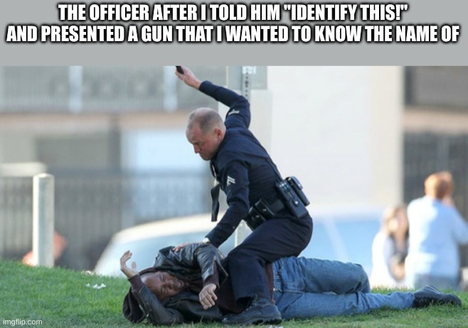 "Please identify yourself" | THE OFFICER AFTER I TOLD HIM "IDENTIFY THIS!" AND PRESENTED A GUN THAT I WANTED TO KNOW THE NAME OF | image tagged in cop beating | made w/ Imgflip meme maker