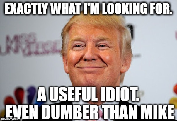 Donald trump approves | EXACTLY WHAT I'M LOOKING FOR. A USEFUL IDIOT.  EVEN DUMBER THAN MIKE | image tagged in donald trump approves | made w/ Imgflip meme maker