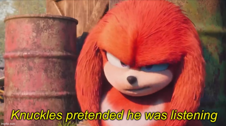 Knuckles pretended he was listening | image tagged in knuckles pretended he was listening | made w/ Imgflip meme maker