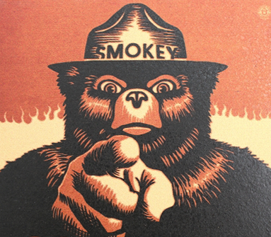 Smokey the bear Blank Meme Template