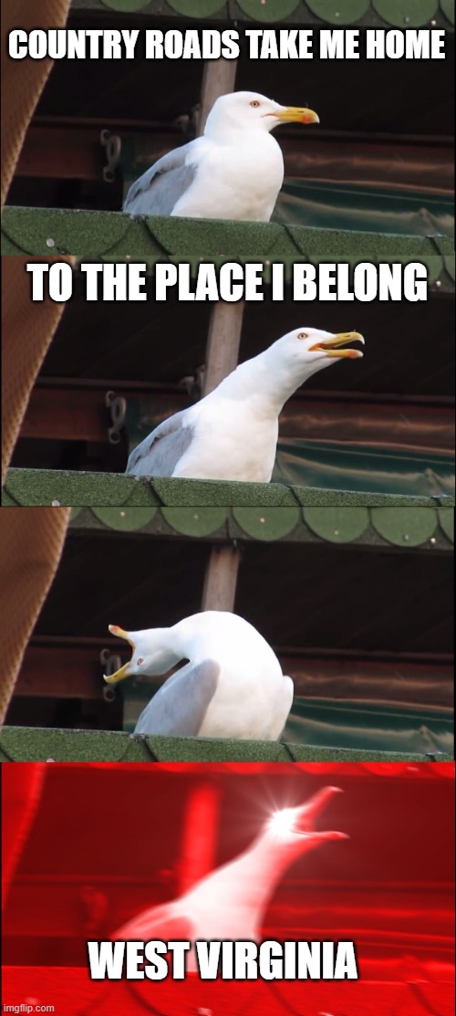 Inhaling Seagull | COUNTRY ROADS TAKE ME HOME; TO THE PLACE I BELONG; WEST VIRGINIA | image tagged in memes,inhaling seagull | made w/ Imgflip meme maker