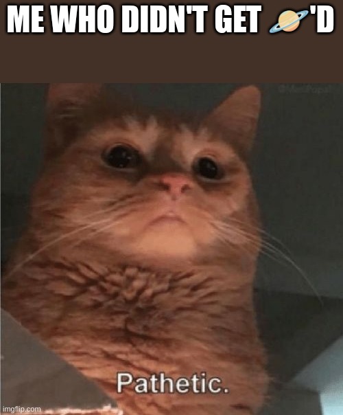 Pathetic Cat | ME WHO DIDN'T GET ?'D | image tagged in pathetic cat | made w/ Imgflip meme maker