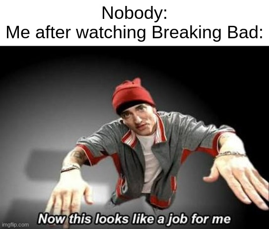 A bit dark but oh well | Nobody:
Me after watching Breaking Bad: | image tagged in now this looks like a job for me | made w/ Imgflip meme maker