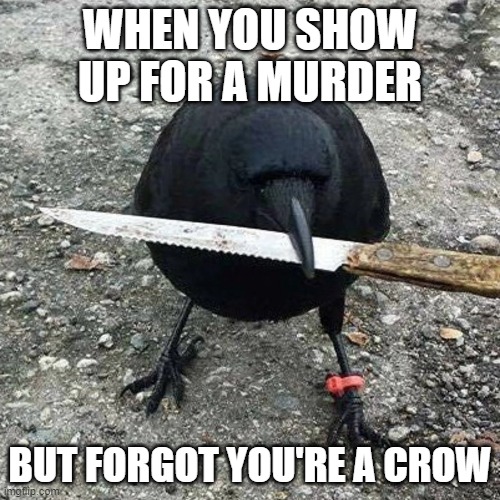 A Murder of Crows, Especially One of Them | WHEN YOU SHOW UP FOR A MURDER; BUT FORGOT YOU'RE A CROW | image tagged in crow,crows,knife,memes,cryptocurrency,memecoin | made w/ Imgflip meme maker
