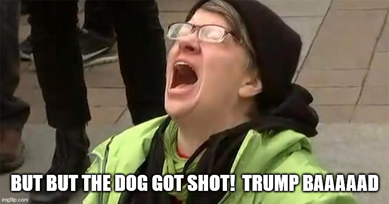 crying liberal | BUT BUT THE DOG GOT SHOT!  TRUMP BAAAAAD | image tagged in crying liberal | made w/ Imgflip meme maker