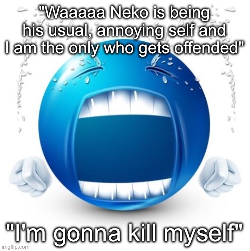 Guess the user | "Waaaaa Neko is being his usual, annoying self and I am the only who gets offended"; "I'm gonna kill myself" | image tagged in crying blue guy | made w/ Imgflip meme maker