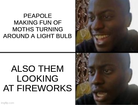 i mean | PEAPOLE MAKING FUN OF MOTHS TURNING AROUND A LIGHT BULB; ALSO THEM LOOKING AT FIREWORKS | image tagged in oh yeah oh no | made w/ Imgflip meme maker