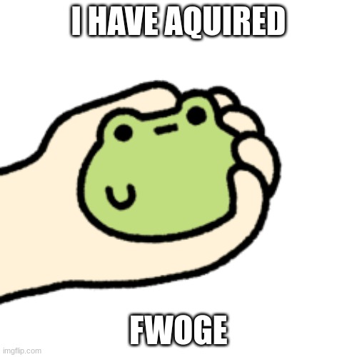 fwoge | I HAVE AQUIRED; FWOGE | image tagged in frog,cute | made w/ Imgflip meme maker