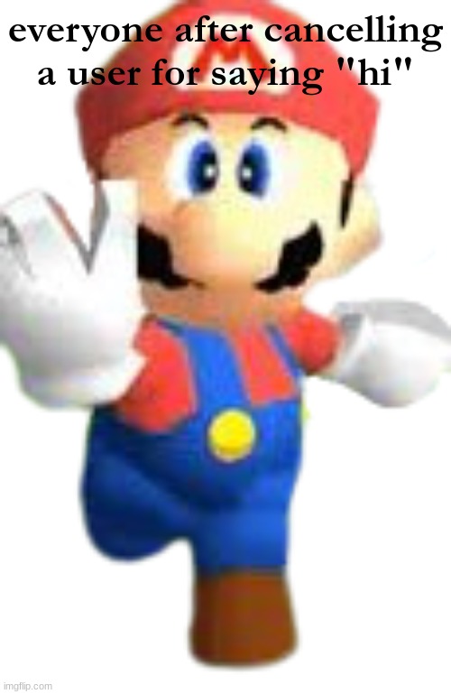 MSMG Slander #64 | everyone after cancelling a user for saying "hi" | image tagged in mario n64 | made w/ Imgflip meme maker