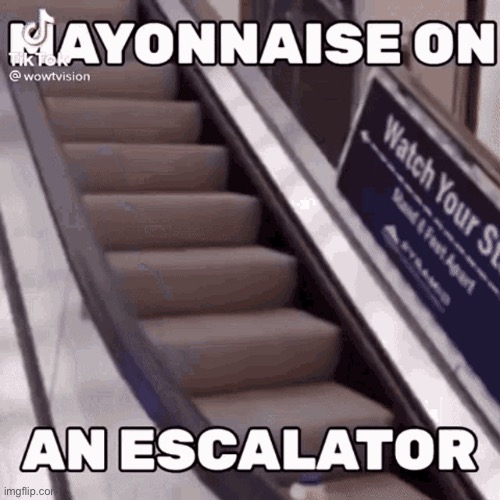 Mayonnaise on a escalator | image tagged in mayonnaise on a escalator | made w/ Imgflip meme maker