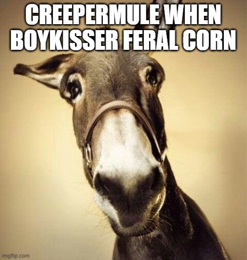 Mule | CREEPERMULE WHEN BOYKISSER FERAL CORN | image tagged in mule | made w/ Imgflip meme maker