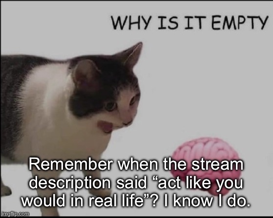 hrelp me | Remember when the stream description said “act like you would in real life”? I know I do. | image tagged in hrelp me | made w/ Imgflip meme maker